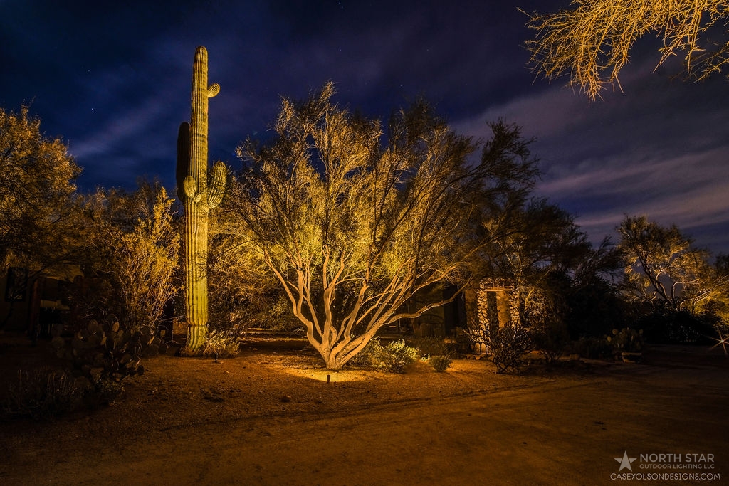 up lighting Arizona desert landscape