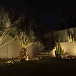 Backyard palm and cactus uplit against a block wall at night