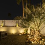 Uplit palms, cactus and boulders in a lit backyard seating area at night