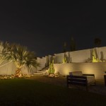 Backyard lawn and seating lit at night with uplit palm and cactus
