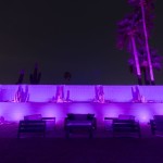 Backyard lit in magenta and purple with color-changing LED lighting on palms and wall