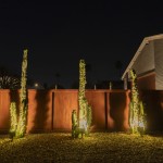 Row of uplit columnar cactus along a rust-metal fence at night
