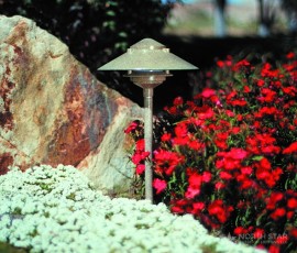 solar accent lighting fixture