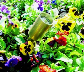 chrome up lighting fixture in garden