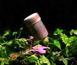 exterior up lighting fixture