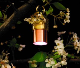 tree hanging light fixture