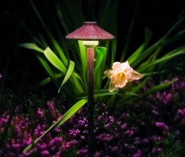 landscape lighting fixture