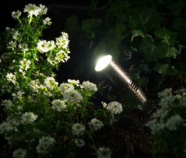 Northstar Outdoor Lighting, LLC
