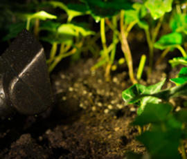 Northstar Outdoor Lighting, LLC