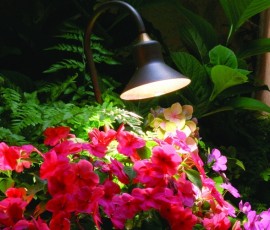 tulip lighting fixture