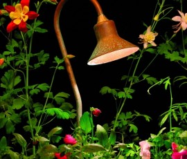 garden tulip lighting fixture