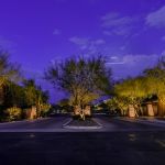 Apartment community drive and uplit tree at dusk under a purple sky