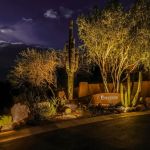 Illuminated Encore entry monument with uplit cactus and desert trees at night