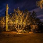 up lighting Arizona desert landscape