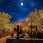 Courtyard garden with uplit cactus and trees at night under a full moon