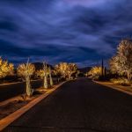 North Star Outdoor Lighting in Scottsdale Arizona showing uplighting on desert landscape of community