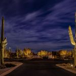 Community street lit at night with uplit saguaro and desert trees