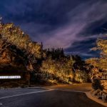 Canyon Heights road entrance with uplit hillside vegetation at night
