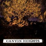 Illuminated Canyon Heights street sign with uplit trees and rock behind