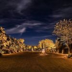 Paver entry drive lit at night with uplit trees and a monument marker
