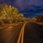 Two-lane road lit at night with uplit desert trees on both sides
