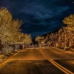 Paver drive leading to an iron gate lit at night with uplit trees