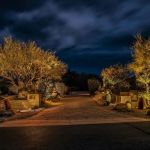 Entry drive lit at night with uplit trees and a stone water feature
