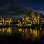 Uplit trees along a golf course lake reflecting in the still water at night
