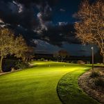 Golf green with a flagstick lit at night and uplit trees beyond