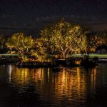Uplit trees along a golf course lake with reflections on the water at night