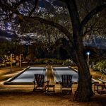 Lit lap pool with lounge chairs beneath a large uplit tree at night