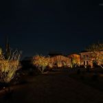 Paver drive and stone home lit at night with uplit ocotillo and saguaro