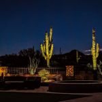 Backyard fire pit and pool lit at dusk with uplit saguaro cactus behind