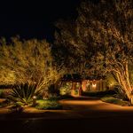 DSCF6382-min