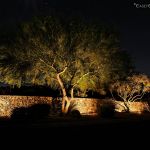 DSCF8832-min
