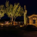 Uplit tree and saguaro beside a lit community gatehouse at night