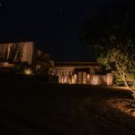 Contemporary desert home lit at night with uplit agave along the entry walk