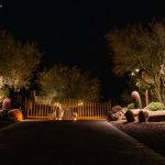 Wood entry gate lit at night with uplit boulders and barrel cactus