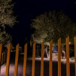 Tall wood-slat entry gate lit at night with cactus and trees behind
