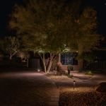 Paver drive and lit home entrance at night with an uplit tree and saguaro