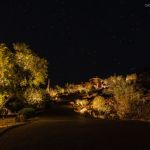 Hillside desert home lit at night with uplit trees along the drive