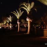 _MG_7338