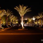 _MG_7350