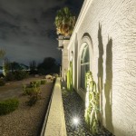 Uplit cactus casting shadows on a white stucco wall beside an arched window at night