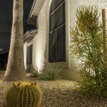 Uplit palm trunk and barrel cactus beside a lit white stucco wall at night
