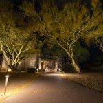 Uplit mesquite trees over a lit driveway leading to a home at night