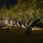 Large uplit mesquite tree over a lawn beside a lit home at night