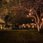 Uplit trees over a lawn and garden path at night