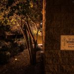Uplit trees beside a block wall with a dedication plaque at night