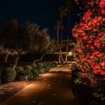 Lit garden path with flowering bougainvillea and uplit palms at night